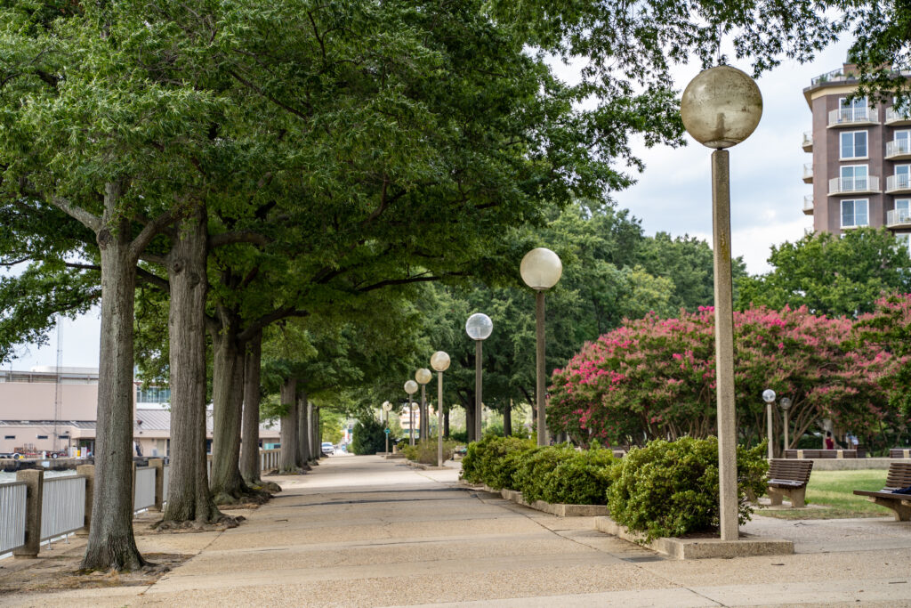 公園の舗装路に